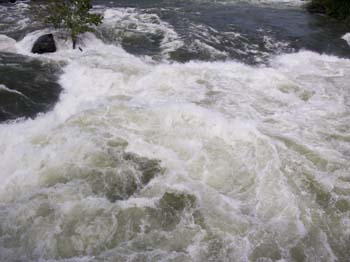 Spokane Photographs (297)