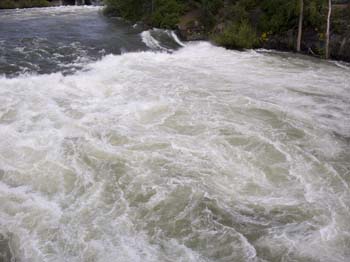 Spokane Photographs (298)