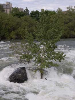 Spokane Photographs (299)