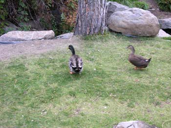 Spokane Photographs (381)