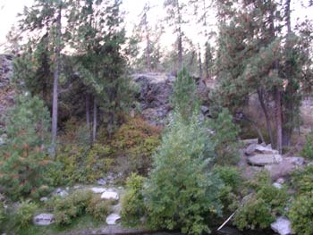 Spokane Photographs (409)