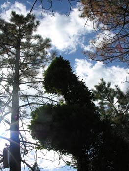 Spokane Photographs (426)