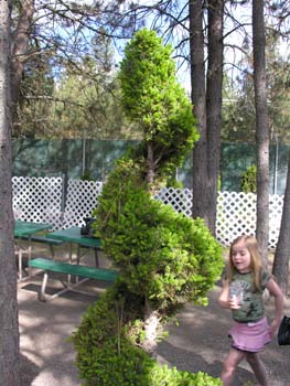 Spokane Photographs (427)
