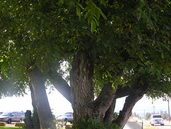 Spokane Photographs (43)