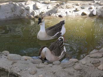 Spokane Photographs (437)