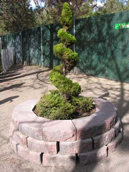 Spokane Photographs (443)