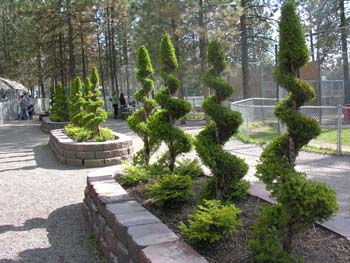 Spokane Photographs (444)