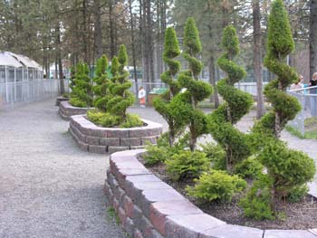 Spokane Photographs (462)