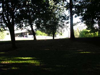 Spokane Photographs (470)
