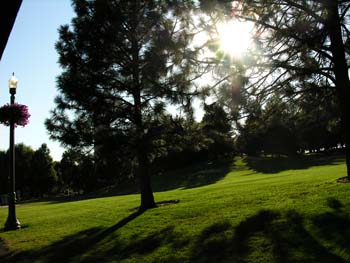 Spokane Photographs (473)