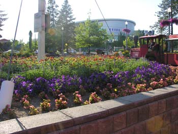 Spokane Photographs (501)