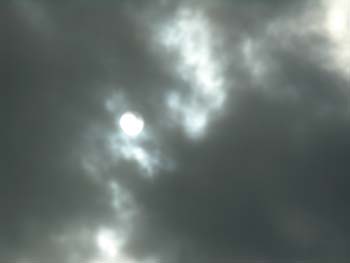 Spokane Photographs (52)