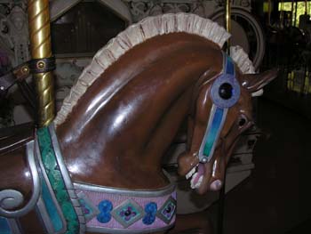 Spokane Photographs (562)