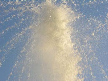 Spokane Photographs (574)