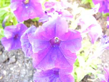 Spokane Photographs (580)