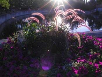 Spokane Photographs (582)