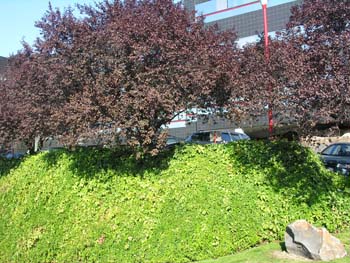 Spokane Photographs (591)