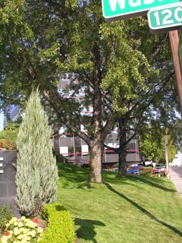 Spokane Photographs (605)