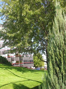 Spokane Photographs (611)
