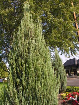 Spokane Photographs (612)