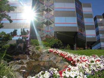 Spokane Photographs (613)