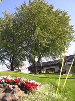 Spokane Photographs (619)