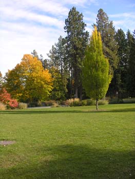Spokane Photographs (69)