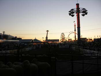 Spokane Photographs (692)