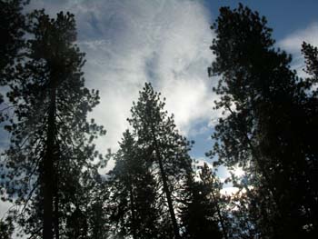Spokane Photographs (744)