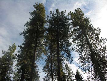 Spokane Photographs (745)