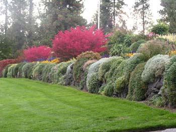 Spokane Photographs (752)