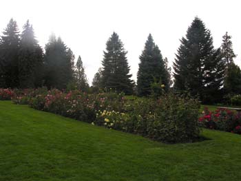 Spokane Photographs (754)