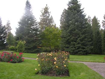 Spokane Photographs (755)