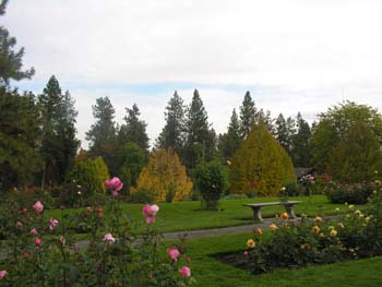 Spokane Photographs (761)