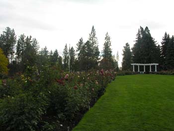 Spokane Photographs (763)