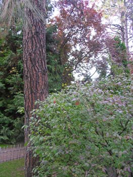 Spokane Photographs (775)