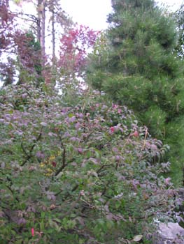 Spokane Photographs (776)