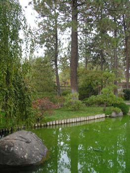 Spokane Photographs (778)