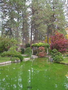 Spokane Photographs (779)