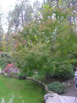Spokane Photographs (785)