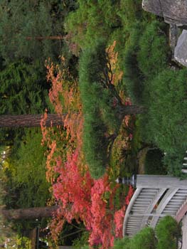 Spokane Photographs (789)