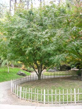 Spokane Photographs (802)