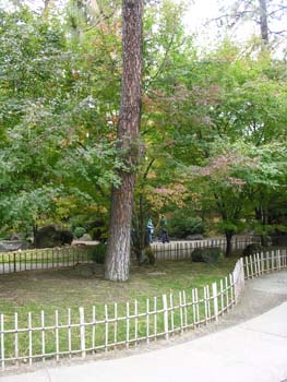 Spokane Photographs (803)