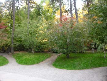 Spokane Photographs (814)