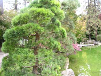 Spokane Photographs (820)