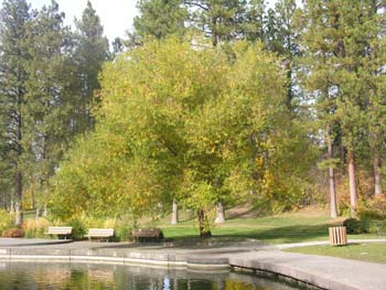Spokane Photographs (93)