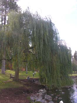 Spokane Photographs (98)