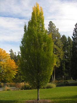 Spokane Photographs (99)