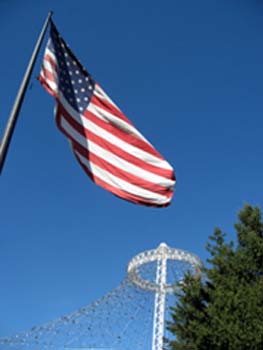 appeal_topatriotism