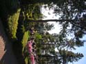Spokane Area Photographs (37)